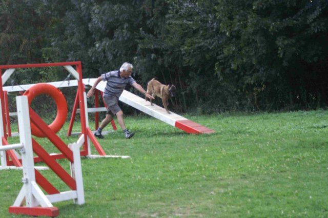agility 2011-09